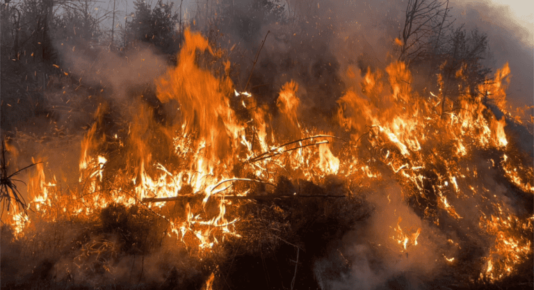 Tony O'Neill, Watch Manager at SWFRS, commanding wildfire operations on Meardy Mountain, Rhondda Cynon Taff, Wales, April 2025