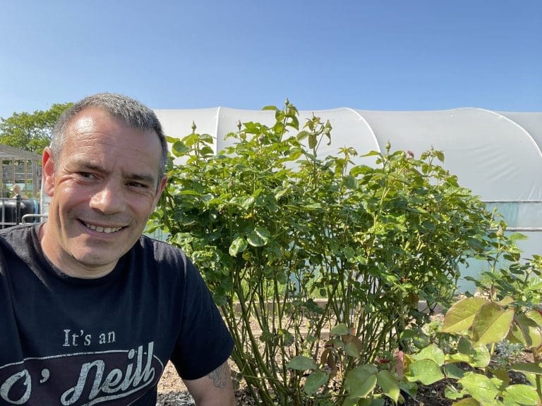 Tony O'Neill photographed in front of a vigorous rose bush in mid-spring new growth on his South Wales allotment, with his polytunnel and blue sky visible behind him