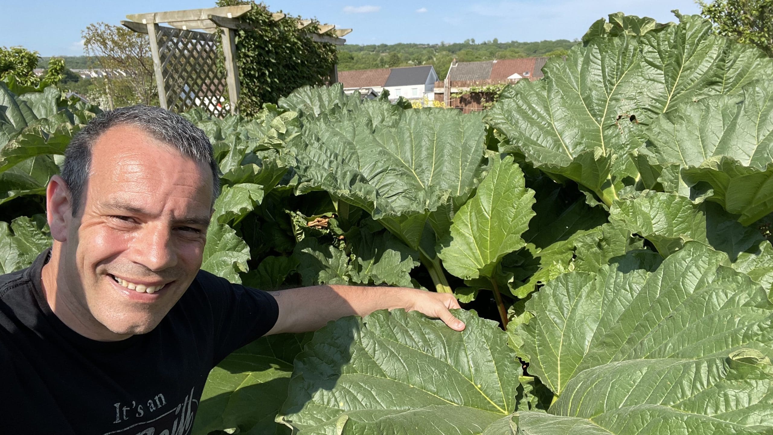 Tony O'Neill pointing at his Goliath Rhubarb plants on his South Wales allotment, with the hand-built pergola, South Wales valley, and surrounding allotment clearly visible in the wide backdrop behind him