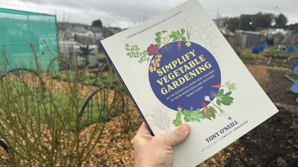 Tony O'Neill holding Simplify Vegetable Gardening at an angle against the full backdrop of his South Wales allotment in winter, with woodchip paths, polytunnel, and fruit cage clearly visible behind the book